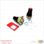 aafaqasia 2x Carbon Film Potentiometer WH148 15mm 3pin + Red Rotary Cap Kit B1K - 1M 2x Carbon Film Potentiometer WH148 15mm 3pi