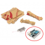 aafaqasia Acrylic Transparent Case Arduino UNO R3 Acrylic Transparent Case Arduino UNO R3